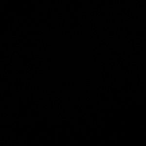 Shoelady130 extra label Tuesday show (1 of 2)